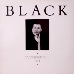 Wonderful Life
