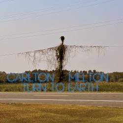 Turn to Earth