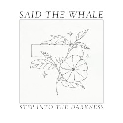 Step Into the Darkness