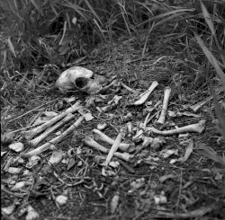 Repeating the Same Ending, as the Drugs Alone Don't Improve the Mental State at All