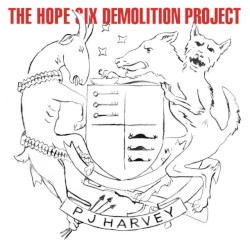 The Hope Six Demolition Project