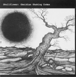 Obsidian Shaking Codex