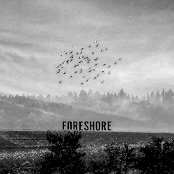 Foreshore