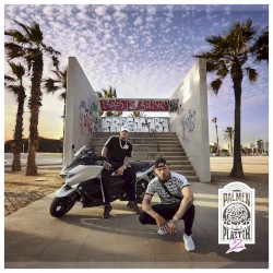 Palmen aus Plastik 2