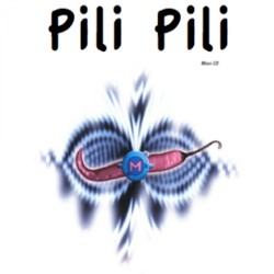 Pili Pili
