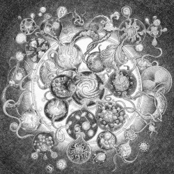 Long Distance Calling