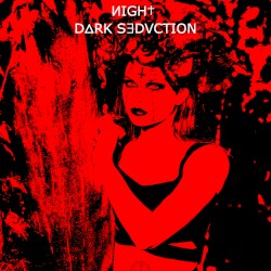 DᐃRK S∃DVCTION