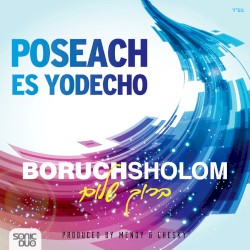 Poseach Es Yodecho