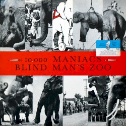 Blind Man’s Zoo