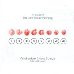 The Evolution of The Dark Side of the Moog