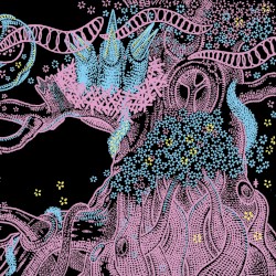 Like the Stars Forever and Ever