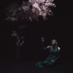 As the Light Left