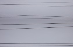 ara