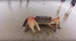 Manchester xx/xx/20 (improvised)