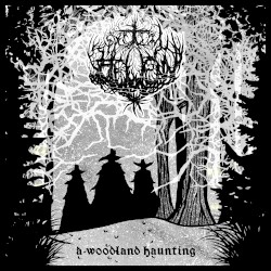 a woodland haunting