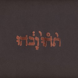 Slow Riot for New Zero Kanada