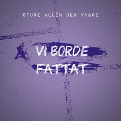 Vi borde fattat