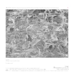 Perpetual Contraction of the Infinite Void Separating Microscopic Bursts of Volatile Sound (II)