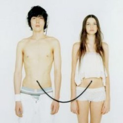 25ｺ目の染色体