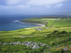 Paddy's Green Shamrock Shore