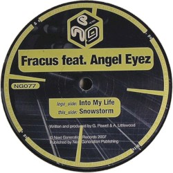 Into My Life / Snowstorm