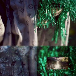 Sunlight Bleeds Through Shadows