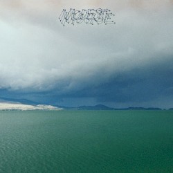 The Fruit That Ate Itself