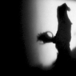 Like Drone Razors Through Flesh Sphere