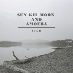 Sun Kil Moon and Amoeba, Vol. II