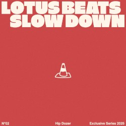 Slowdown