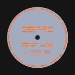 Running to the Sea (Disfreq remix)