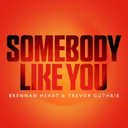 Somebody Like You
