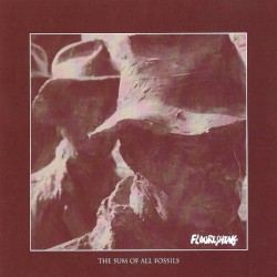 The Sum of All Fossils