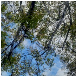 the garden of letting go