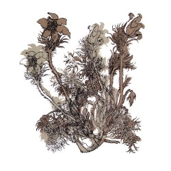 Fresques sur les parois secrètes du crâne