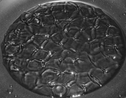 Interstellar Communication (Frequency Jam)