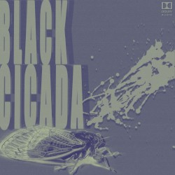BLACK CICADA