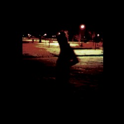 The Vitreous Humor Self-Titled E.P. & Live At Fireside Bowl