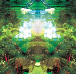 The Invisible Landscape