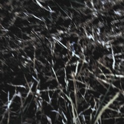 Sleeping Above the Dry Grassland (remastered 2020)