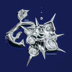 The One I Used to Love