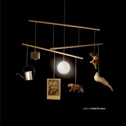 Guericke’s Unicorn