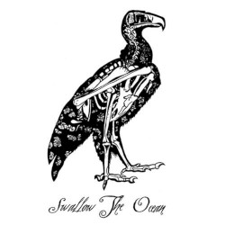 Swallow the Ocean
