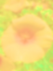 0252
