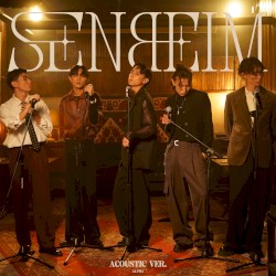 Senbeim (acoustic version)