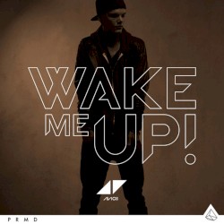 Wake Me Up (remixes)