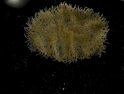 The sun shines above the sea with all it's strength so that the waves could appear, smooth and brilliant, A rare thing this was because it was the darkest night