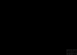 HX.11