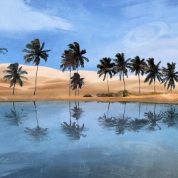 weary oasis