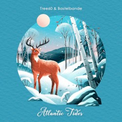 Atlantic Tides